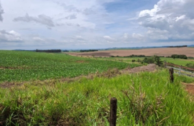 Fazenda para venda em Riversul